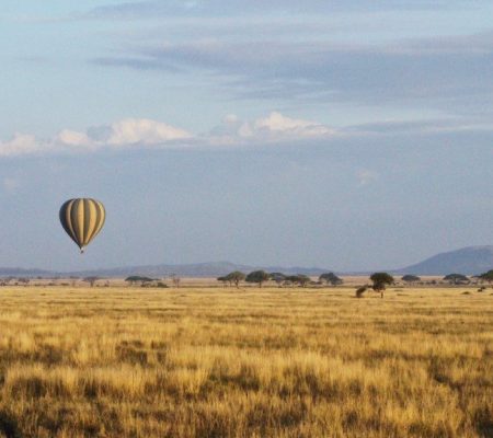 Serengeti