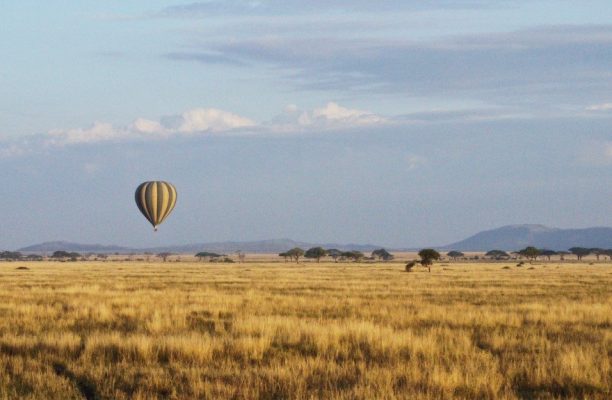 Serengeti