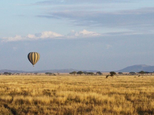 Serengeti