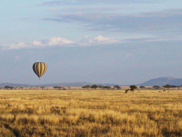 Serengeti