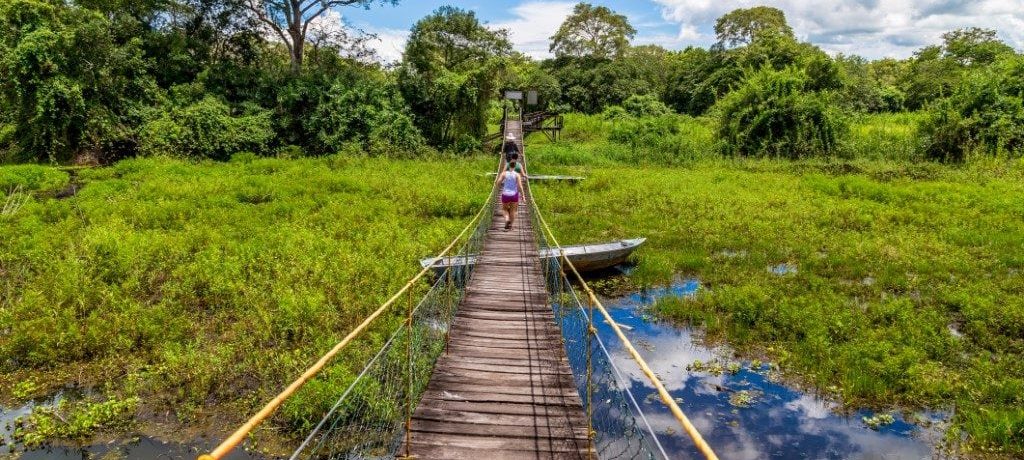 Pantanal, Brazilië - Shutterstock Pantanal