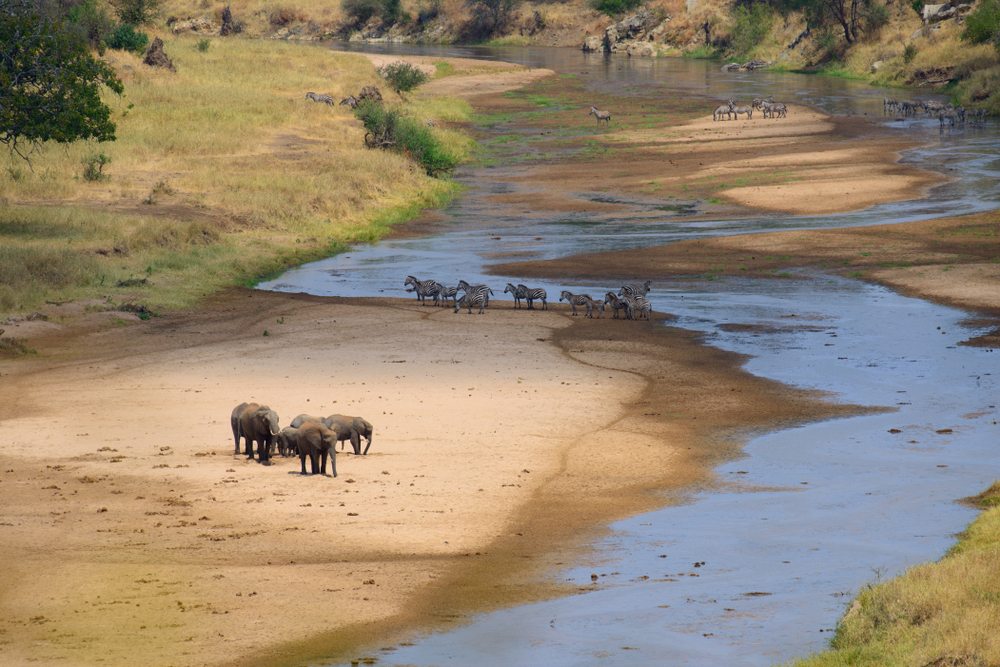 Migratie Tanrangire, Tarangire National Park