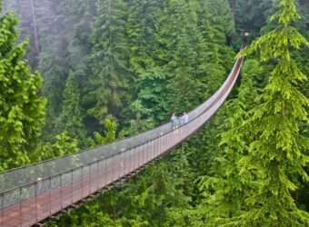 Capilano Suspension Bridge