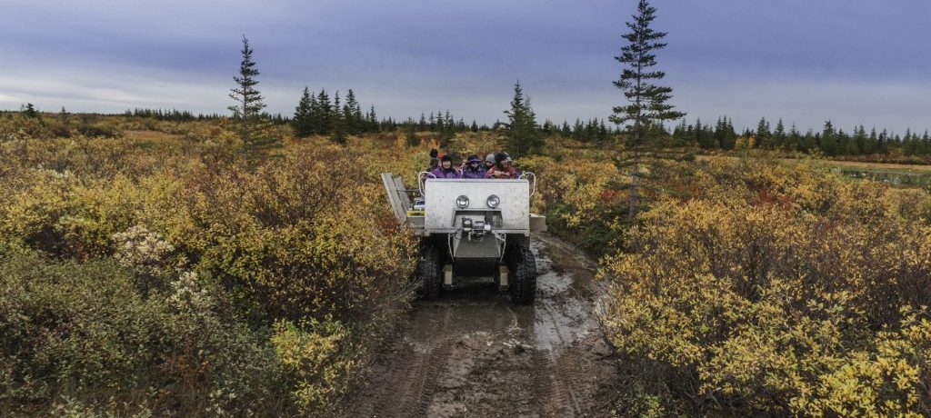 Foto: Jad Davenport © Churchill