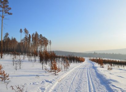 Bijzondere natuurreizen in Rusland, Siberian Tiger Reserve