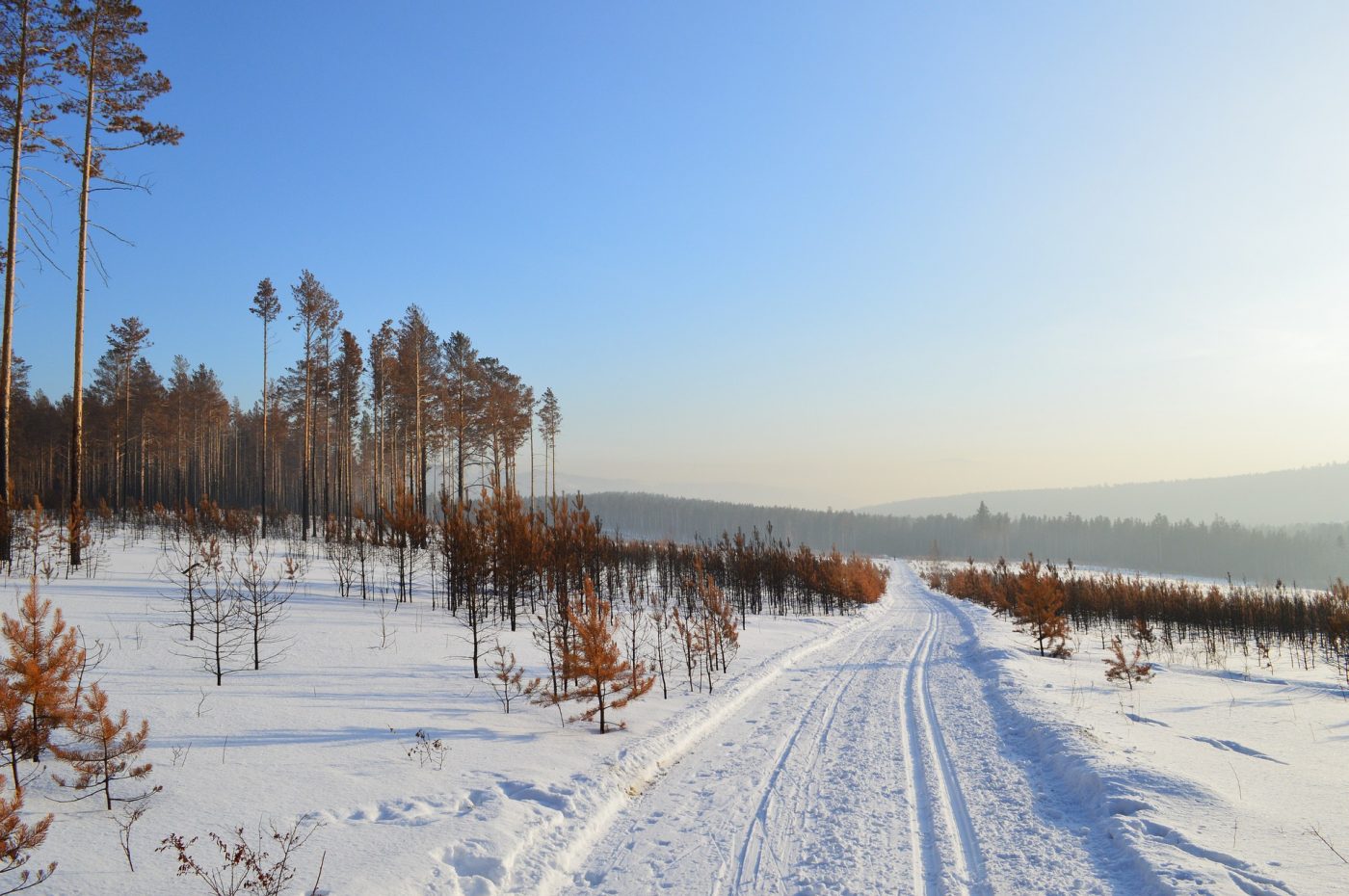 Bijzondere natuurreizen in Rusland, Siberian Tiger Reserve