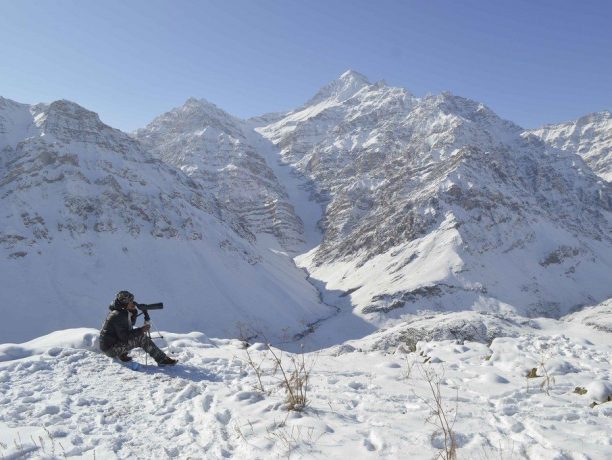 Lokale tracker zoekt naar een sneeuwluipaard in Hemis